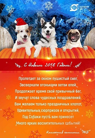 Новый год 2018.