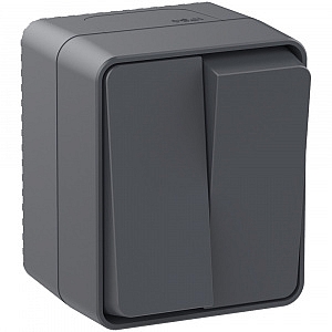 Выключатель двухклавишный AtlasDesign Profi54 открытой установки 10 АХ Антрацит  IP54  ATN544051 Sch