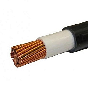 ВВГнг(А)-LS 1х240 мк-1 кВ Ж/З