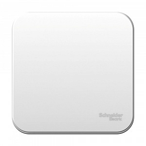 Выключатель одноклавишный BLANCA открытой установки 10А 250В (cх.1) с изолирующей пластиной в сборе 