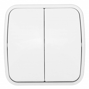 Выключатель двухклавишный Минск открытой установки 10А белый EGV10-023-10 EKF