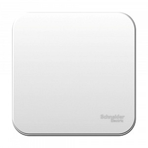 Переключатель одноклавишный BLANCA открытой установки 10А 250В проходной (сх.6) с изолирующей пласти