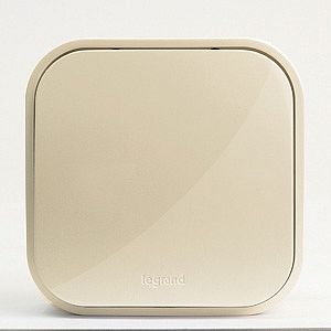 Выключатель одноклавишный Quteo открытой установки 10А 250В слоновая кость 782230 Legrand