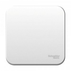 Выключатель одноклавишный BLANCA открытой установки 6А 250В (cх.1) с изолирующей пластиной в сборе б