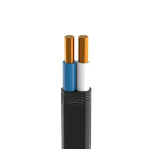 Кабель ВВГнг(A)-LS -П 2х 2,5 ок (N) -0,66 (уп.100м) Кабэкс ТХМ00136967