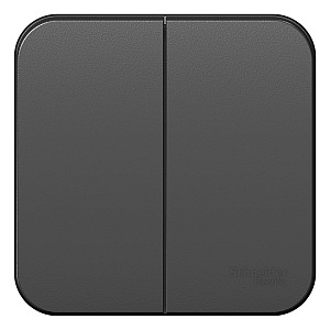 Выключатель двухклавишный BLANCA открытой установки 10А 250В (cх.5) с изолирующей пластиной в сборе 