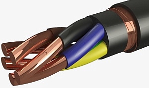 ВВГЭнг(А)-LS 5х10-0,66кВ 