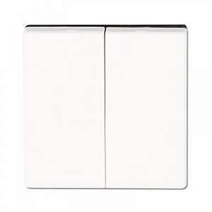 Клавиша двойная Ecoprofi белый EP495WW JUNG